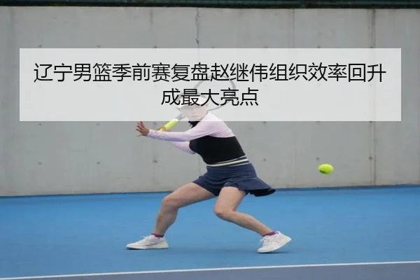 辽宁男篮季前赛复盘赵继伟组织效率回升成最大亮点